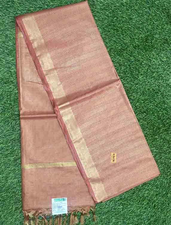 Bhagalpuri Semi Tussar Silk Saree DS401-03