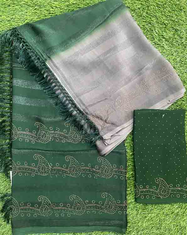 Party Wear Chiffon Fancy Saree with Stone Work DS399-03
