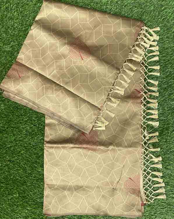 Daily Wear Semi Silk Saree DS409-09