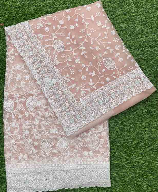 Embroidered Net Wedding Saree DS447-01