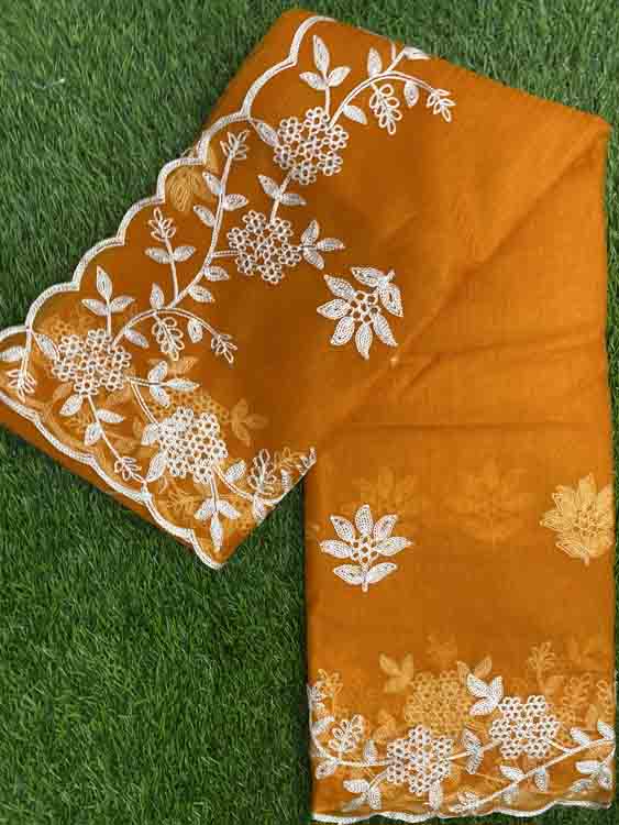 Embroidered Semi Organza Net Saree DS469-05