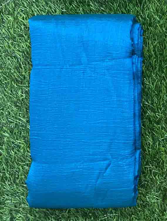 Plain Vichitra Silk Saree DS471-13