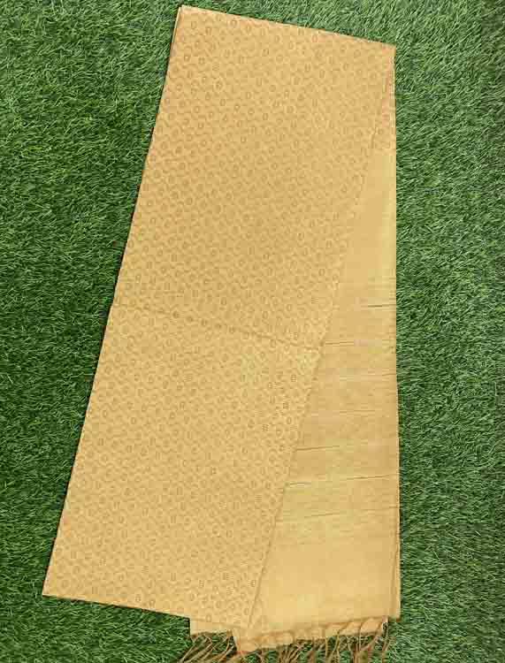 Bamboo Tussar Silk Saree DS493-03