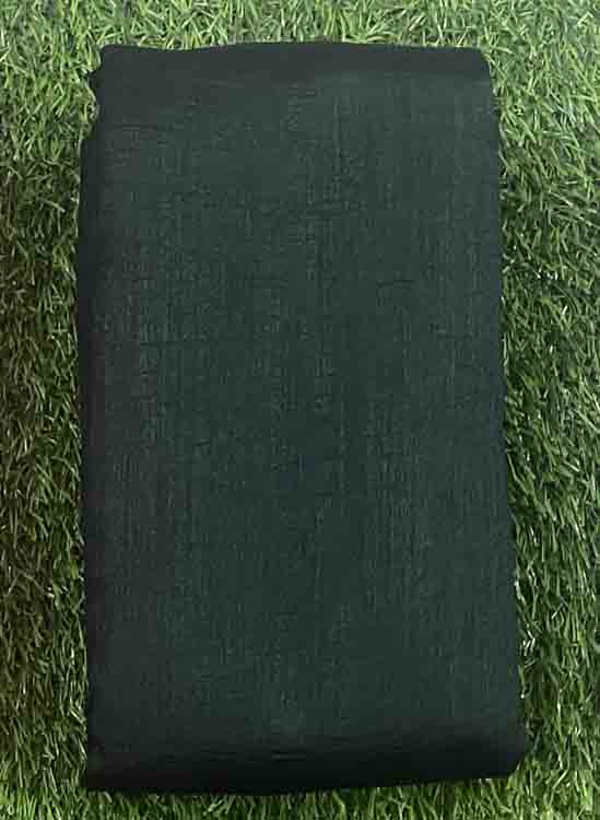 Plain Vichitra Silk Saree DS494-03