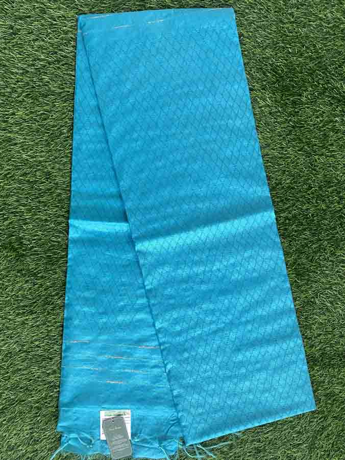 Semi Tassar Silk Saree DS525-02