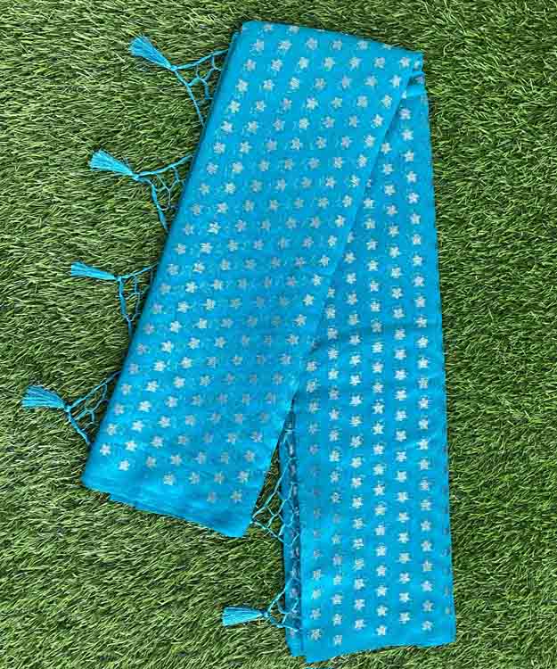 Premium Banarasi Silk Saree DS639-06