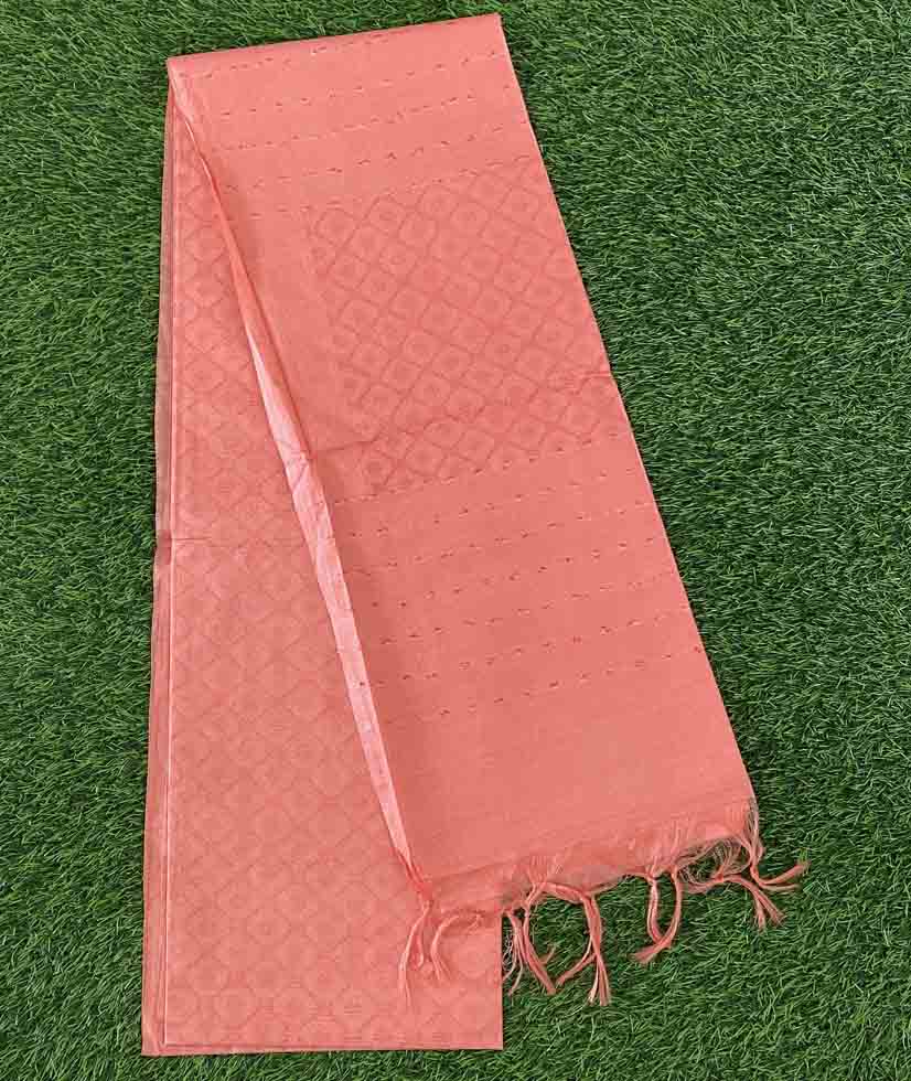Semi Tusser Silk Saree DS645-02