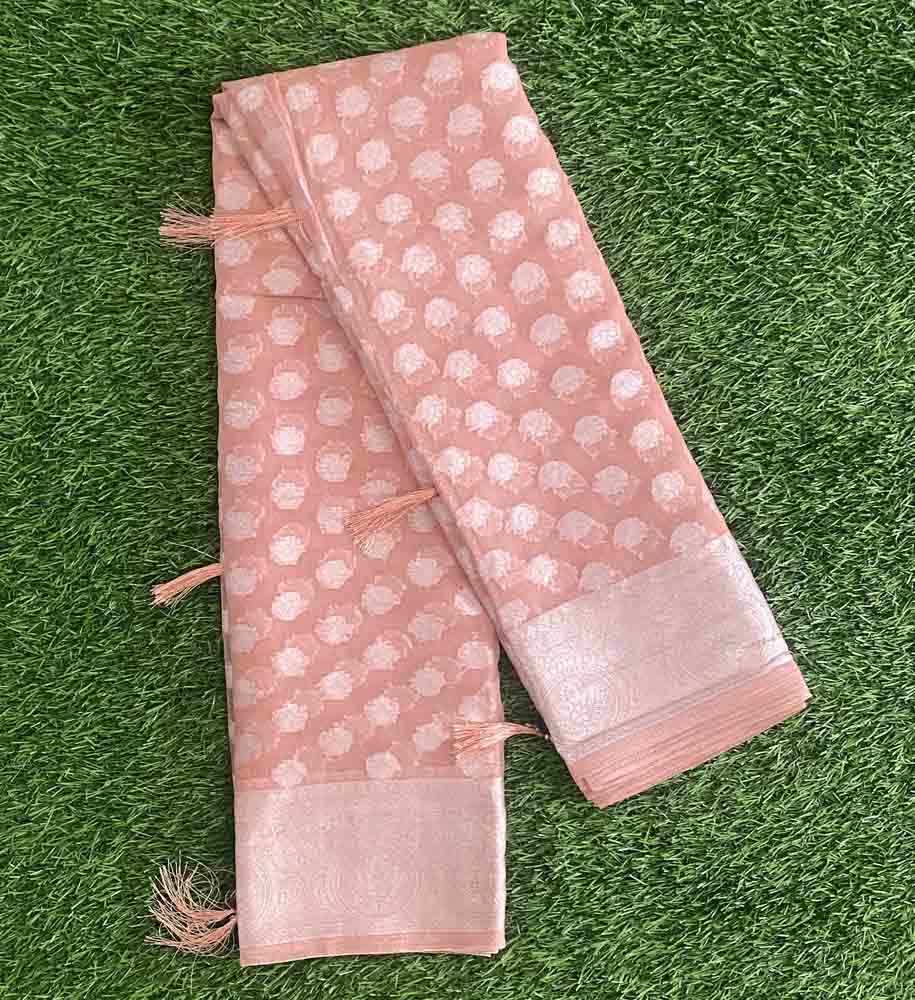 Georgette Banarasi Saree DS670-10