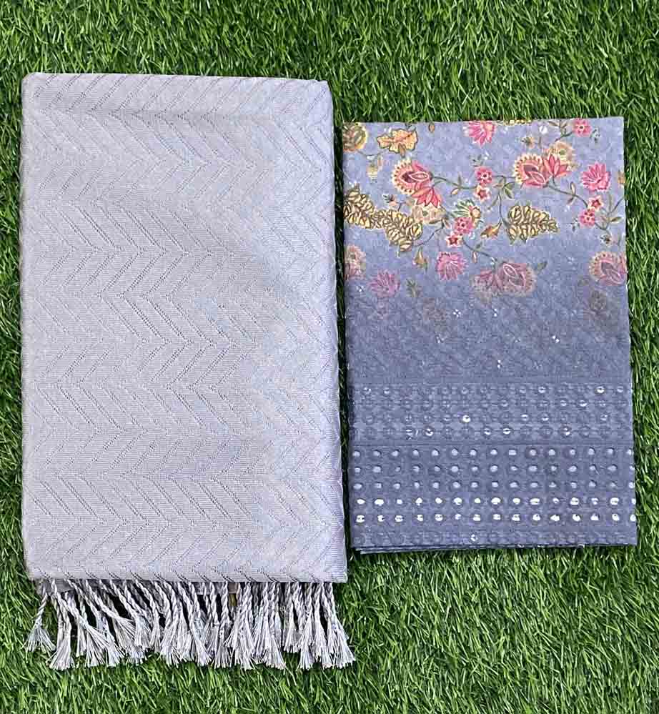 Net Saree with Beautiful Blouse Piece DS696-05