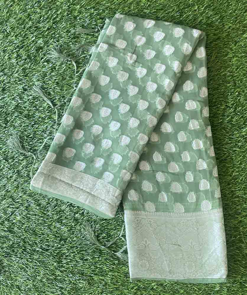 Banarasi Georgette Saree DS717-04