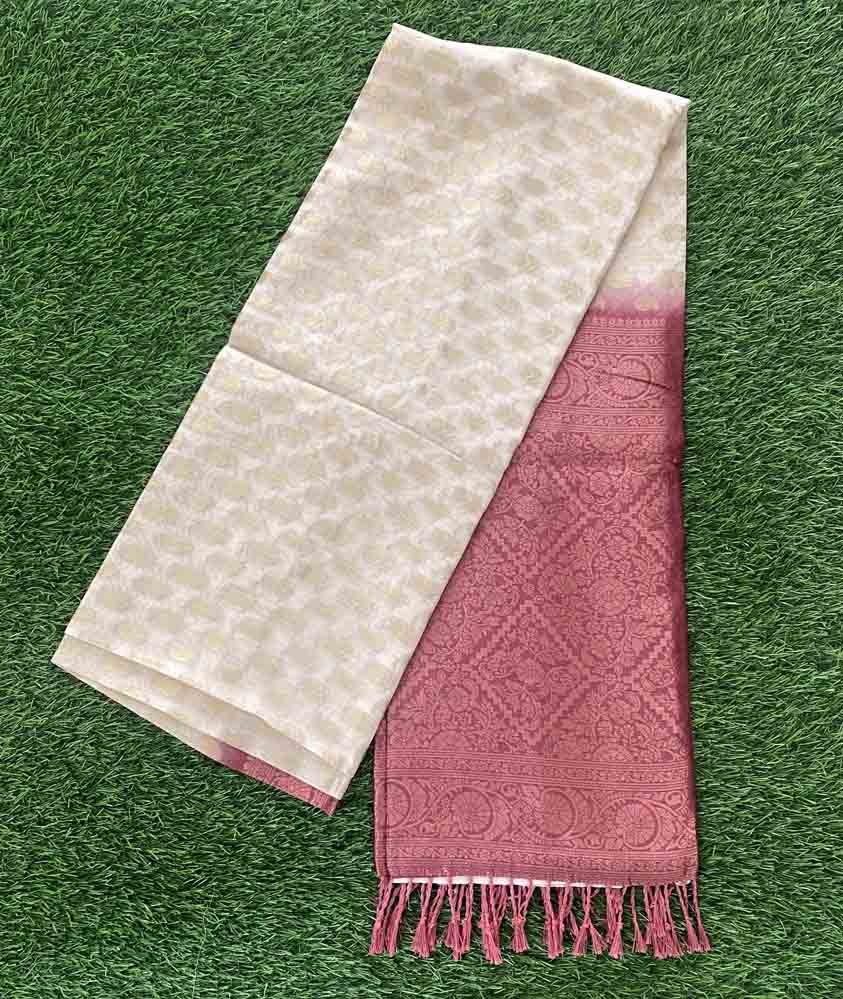 Beautiful Contrast Color Banarasi Silk Saree DS727-01
