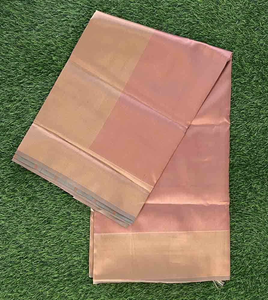 Beautiful Tissue Silk Saree DS742-06